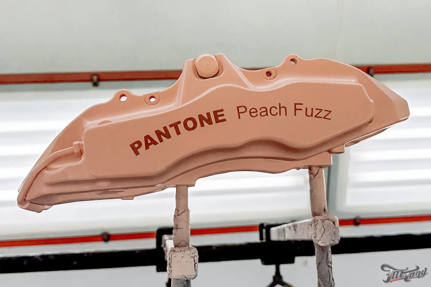 Суппорта в цвете 2024 года от Pantone Peach Fuzz
